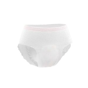 Disposable Period Underwear