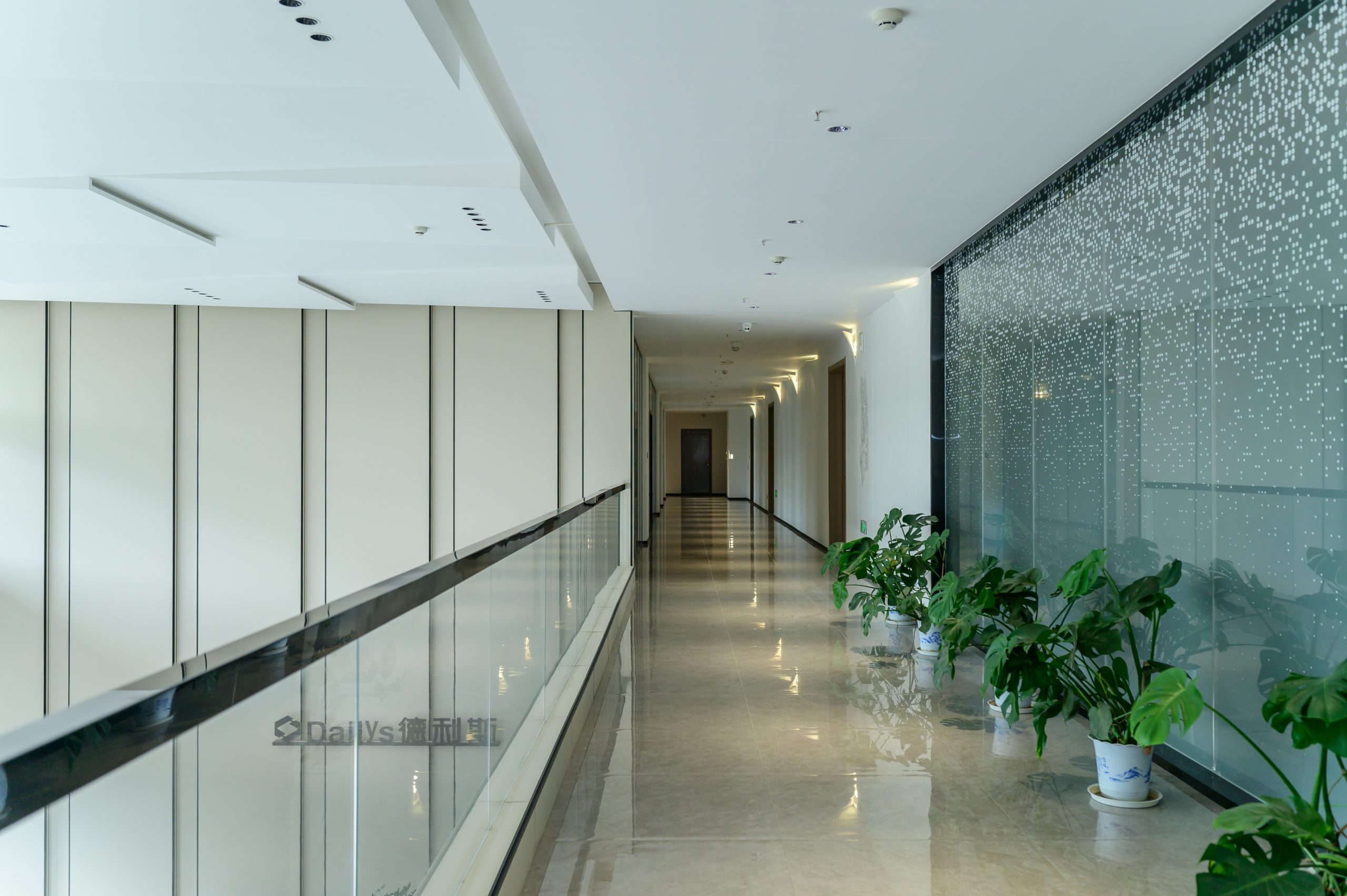 Dailys Facility In China 4